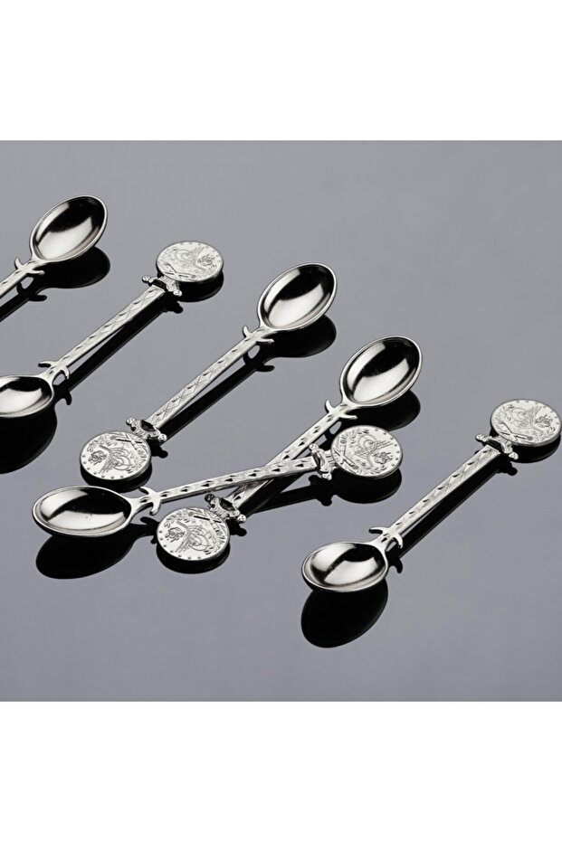Decorative Silver Teaspoon for 6 People