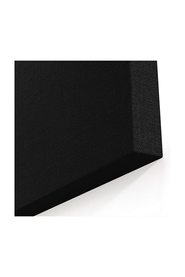 Star Wars Kanvas Tablo - 2