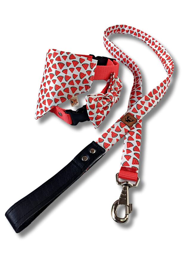 Watermelon Standard Dog Collar Set and Accessories (with scarf and bow tie)