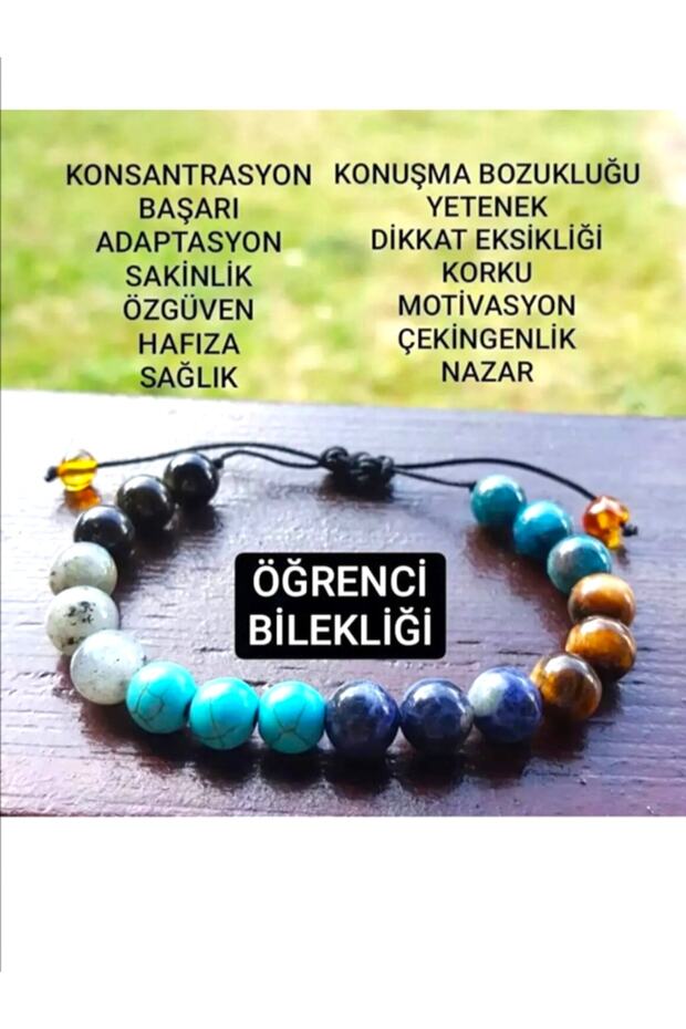 Natural Stone Student Success Bracelet (Certified)