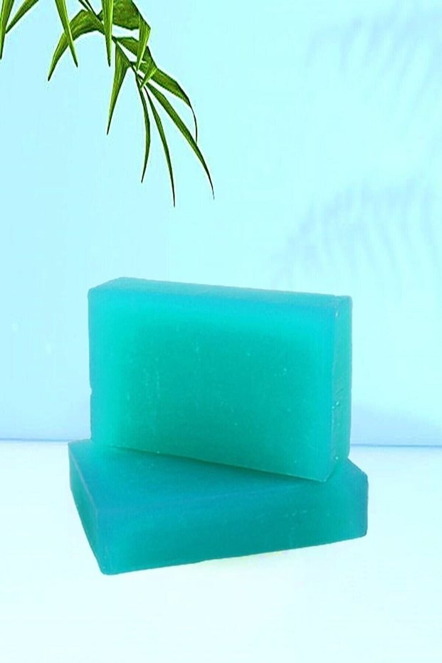 Natural Handmade Aloe Vera Herbal Soap with Glycerin 100 Gr