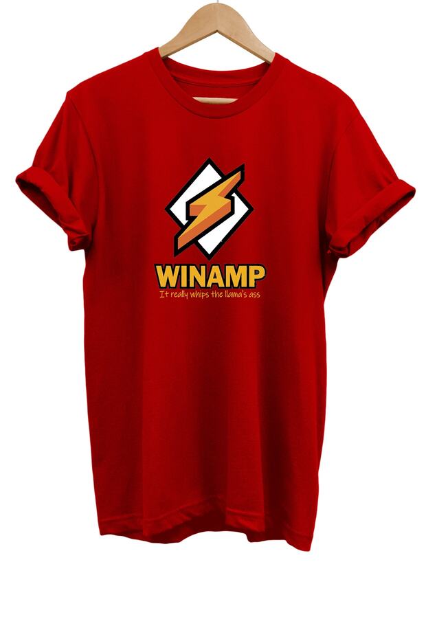Winamp Printed 100% Cotton Basic T-shirt Normal Size T-Shirt