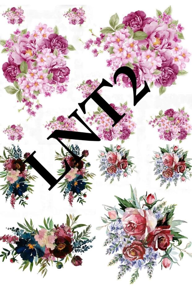 Sulu Transfer LNT02 - 1