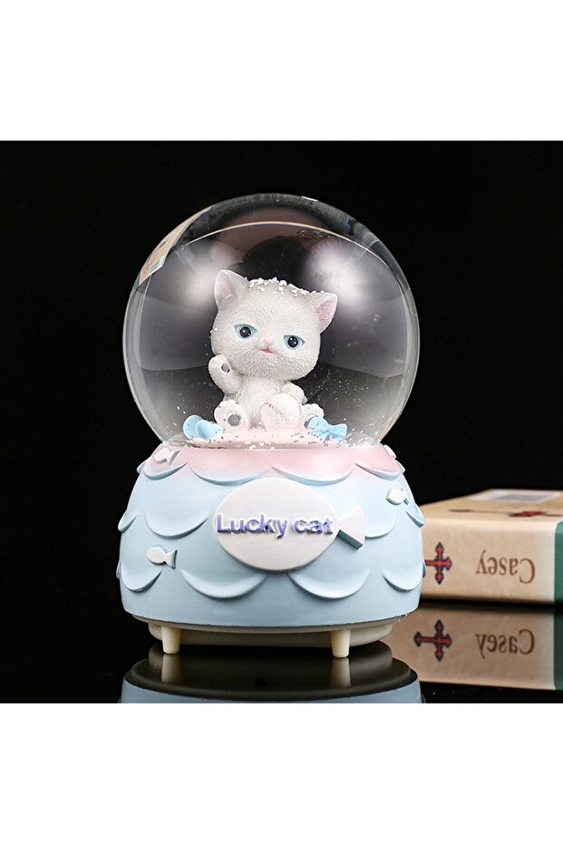 Kedi Kar Küresi - 2