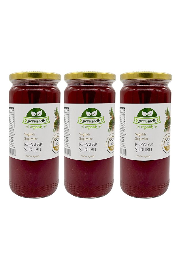 3 Adet 450ml Kozalak Şurubu - 1