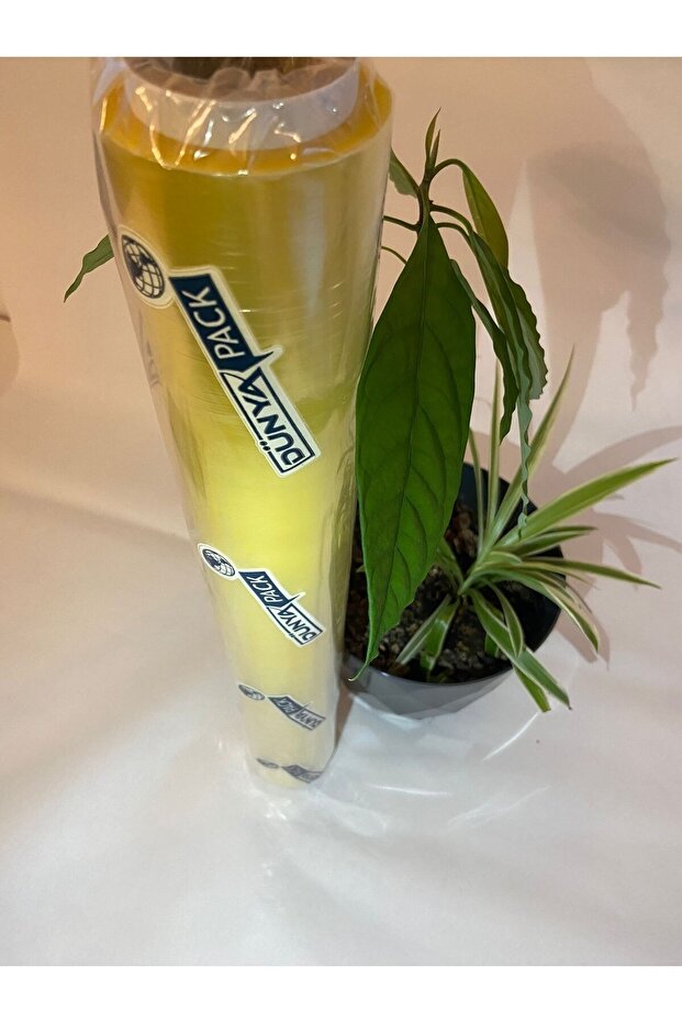 مقود قابل للتمدد 45*200MT - 3