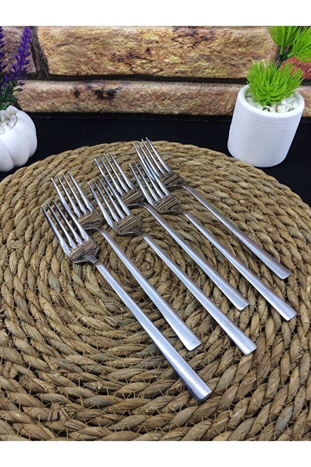 Tercan Ocean 6 قطع شوكة عشاء