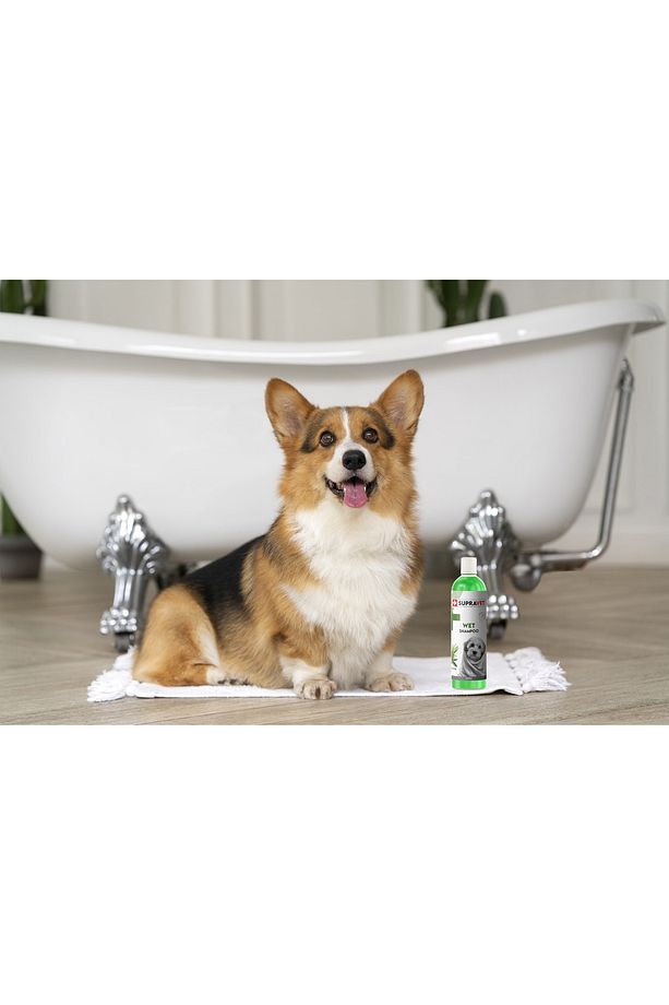 Küçük Irk ve Yavru Köpek Şampuanı 2 x 200 ml - 2