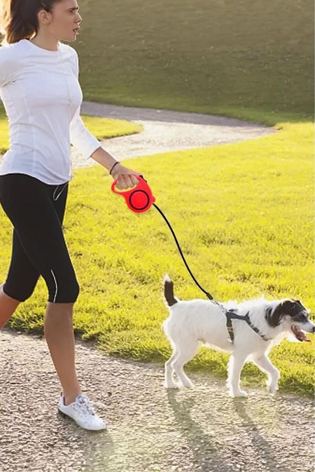 Makaralı Otomatik Köpek Tasması 5 Metre 1 Adet Sarı - 2