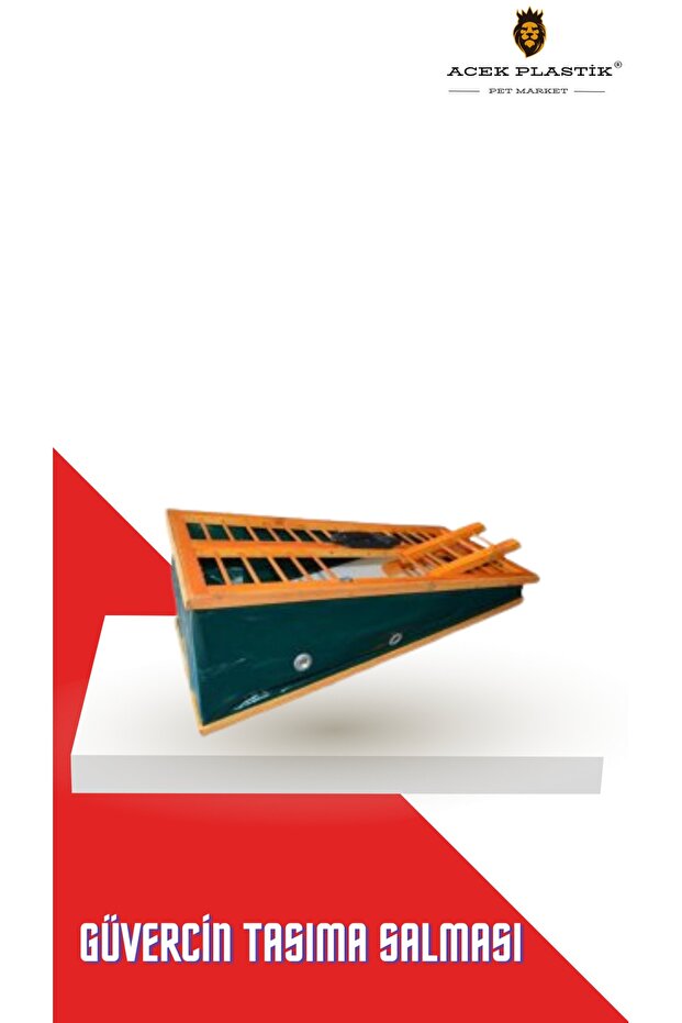 Güvercin Tasıma Salması - 2