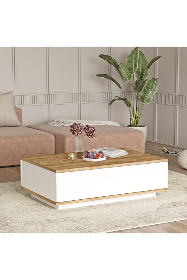 Delphin Orta Sehpa 2 Kapaklı Çam-Beyaz DLP14-AW - 2