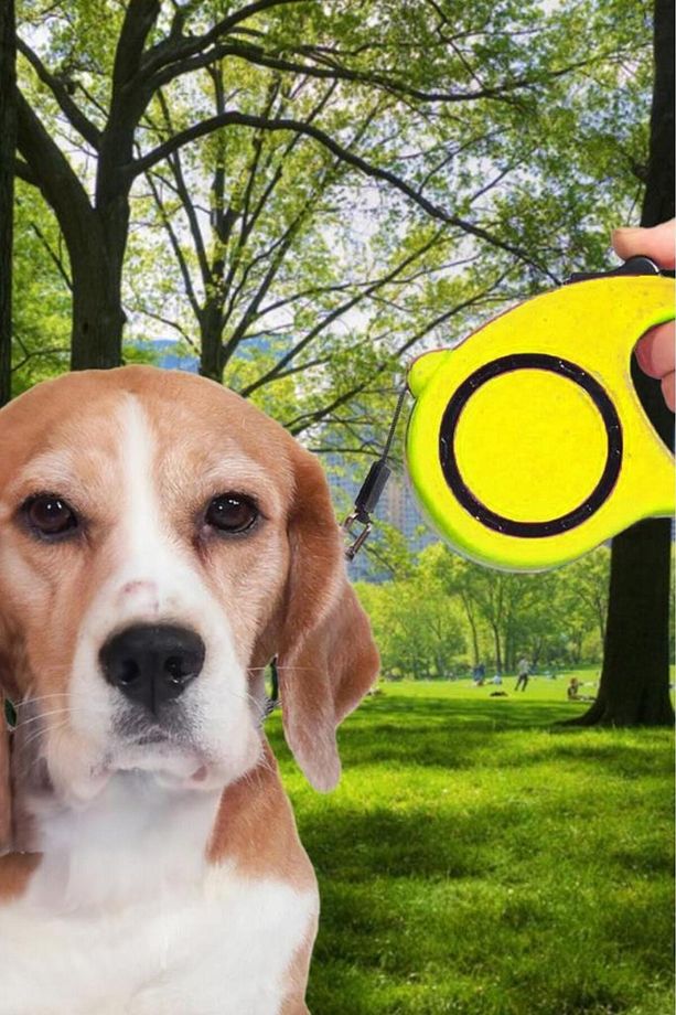 Makaralı Otomatik Köpek Tasması 5 Metre 1 Adet Sarı - 4