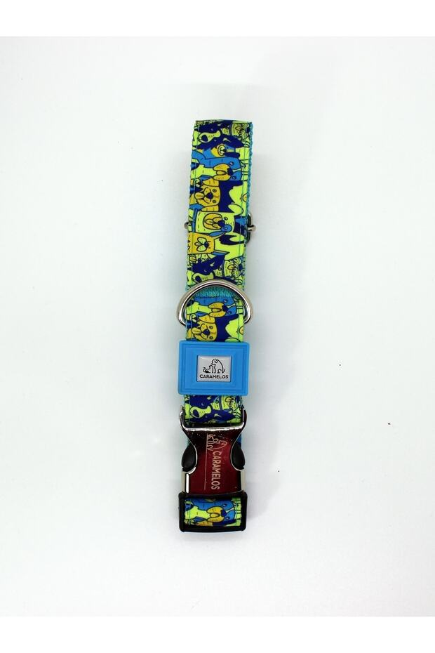 1978455665   رقم النموذج - 2