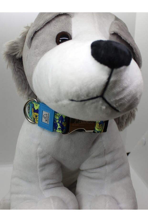 1978455665   رقم النموذج - 4