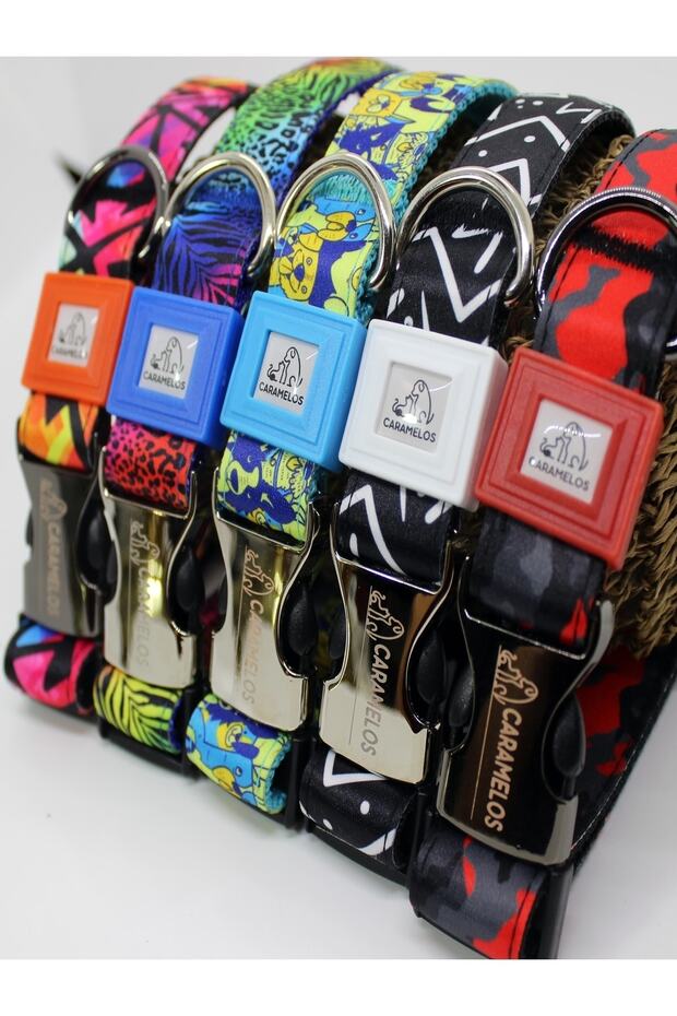 1978455665   رقم النموذج - 6