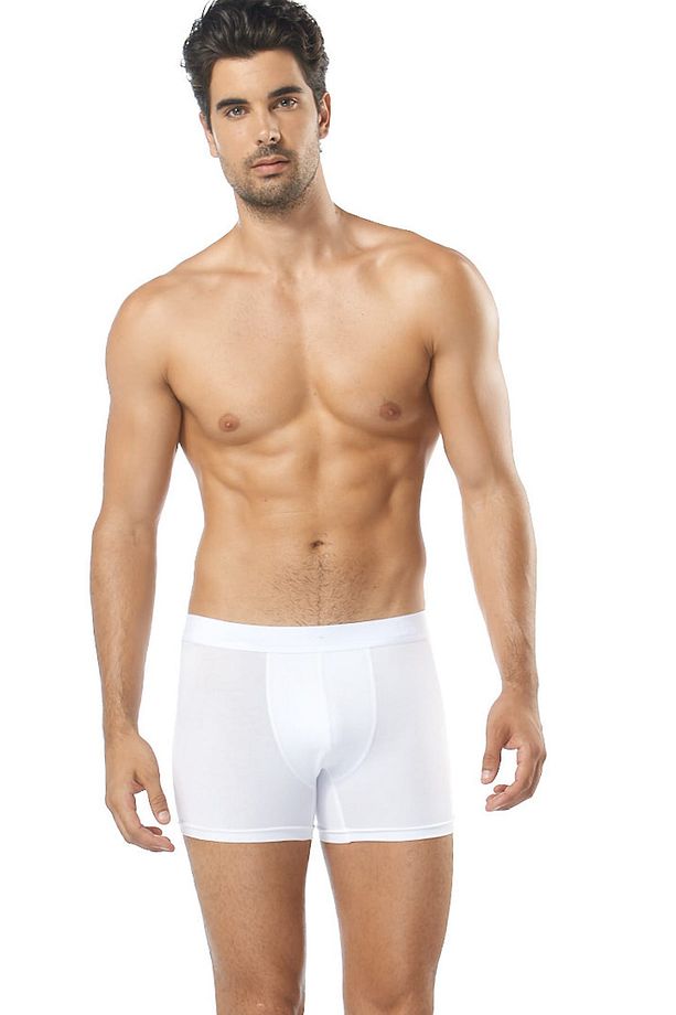 Erkek Beyaz Boxer - 1