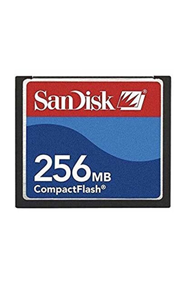 256 Mb Compact Flash Memory Card - 1