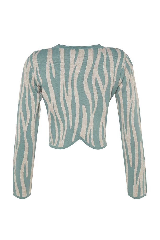 Mint Crop Zebra Desenli Renk Bloklu Triko Kazak TWOAW24KZ00694 - 8