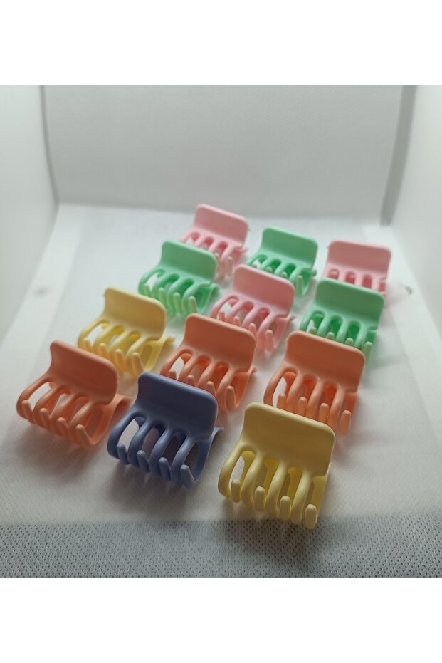 Women's 12-Piece Colorful Crocodile Latch Buckle Set