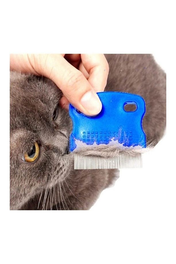 Kedi Köpek Bit Ve Pire Tarağı - 1