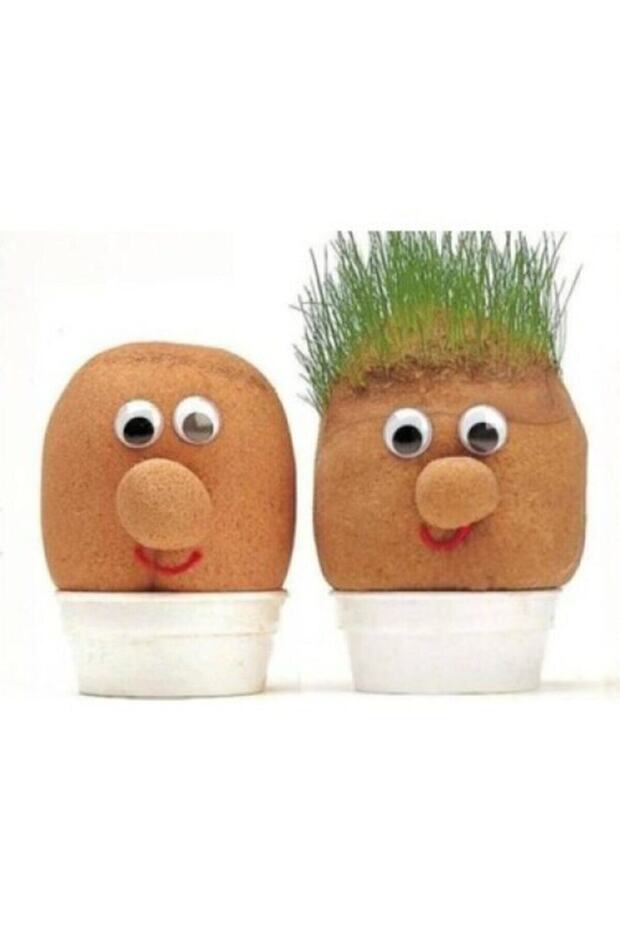 Çim Adam Yapım Seti - 2