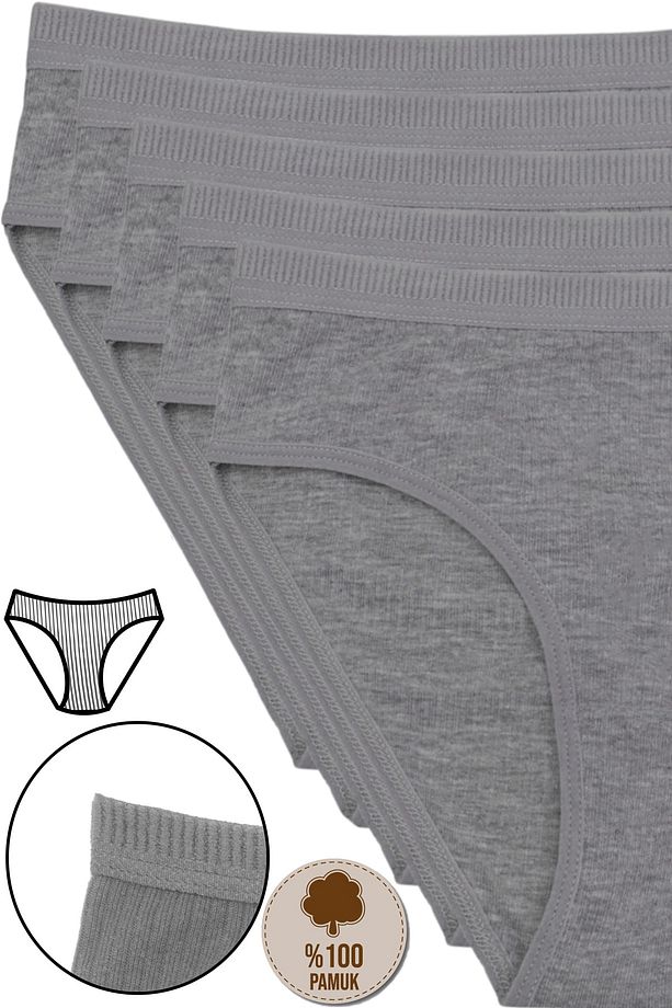 5'li Kadın Gri Renkli Fitilli Bel Ribana Bikini Külot Bk2-d4 - 1