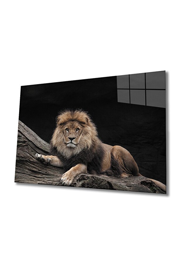 Aslan 12 Cam Tablo