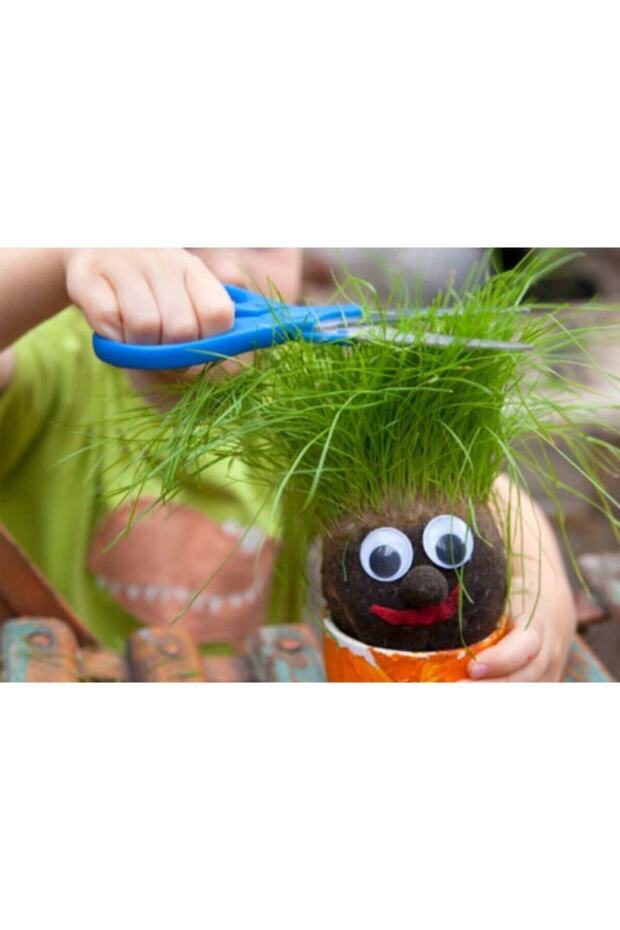 Çim Adam Yapım Seti - 3