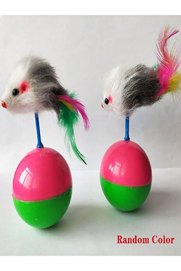 Cat Play Ball with Mouse Hacı Yatmaz