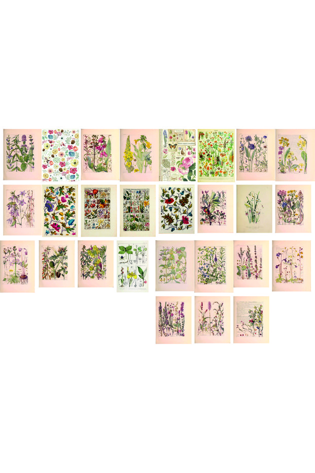Flowers Themed Postcard Set (27 pieces of 10x15 cm)