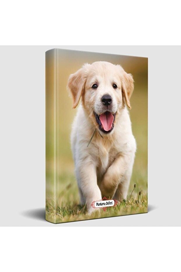 Mutluprens - Planlama Defteri - 3