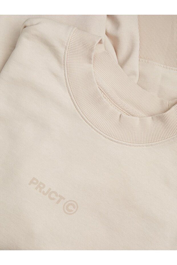 JCOPRJCT SWEAT CREW NECK AW23 - 3