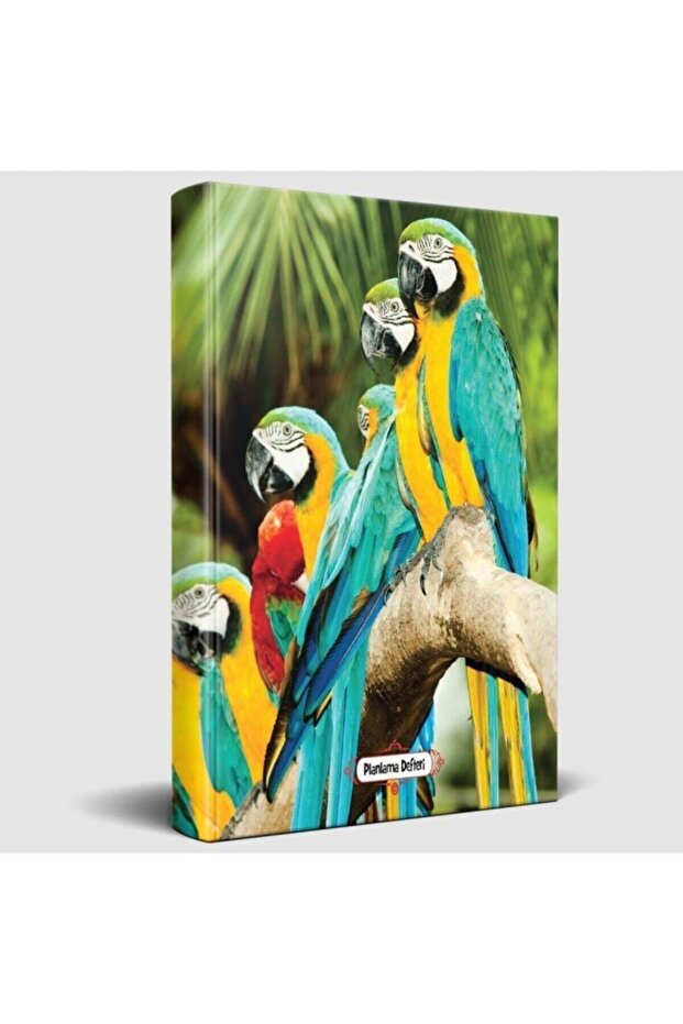 Papağan Ailesi - Planlama Defteri - 2