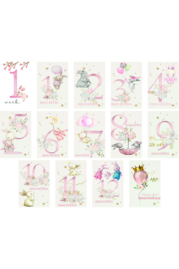 Baby Monthly Cards
