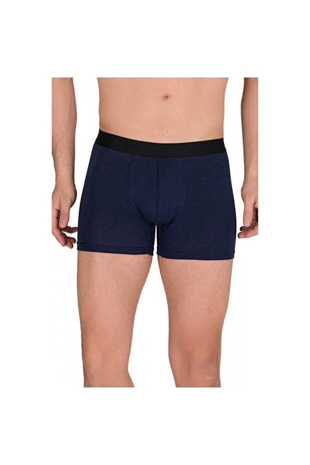 4476 Berrak Boxer - 1