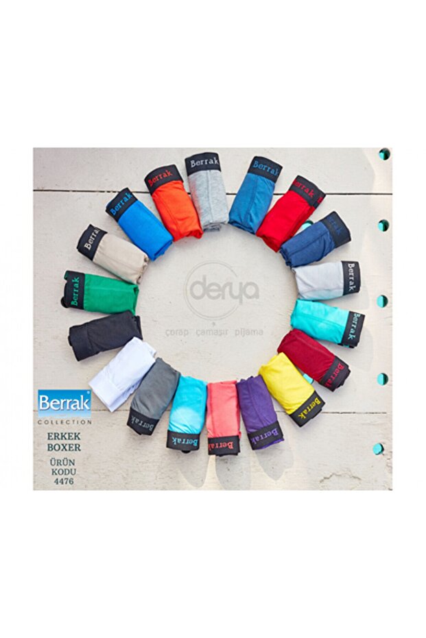 4476 Berrak Boxer - 2