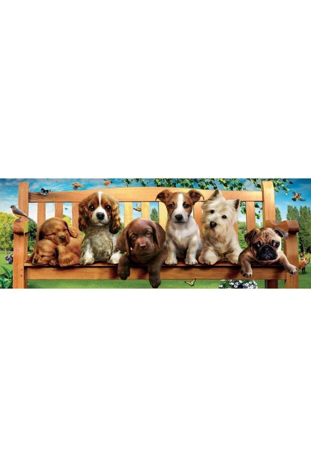 -1000 Puppies on a Bench panorama - 2