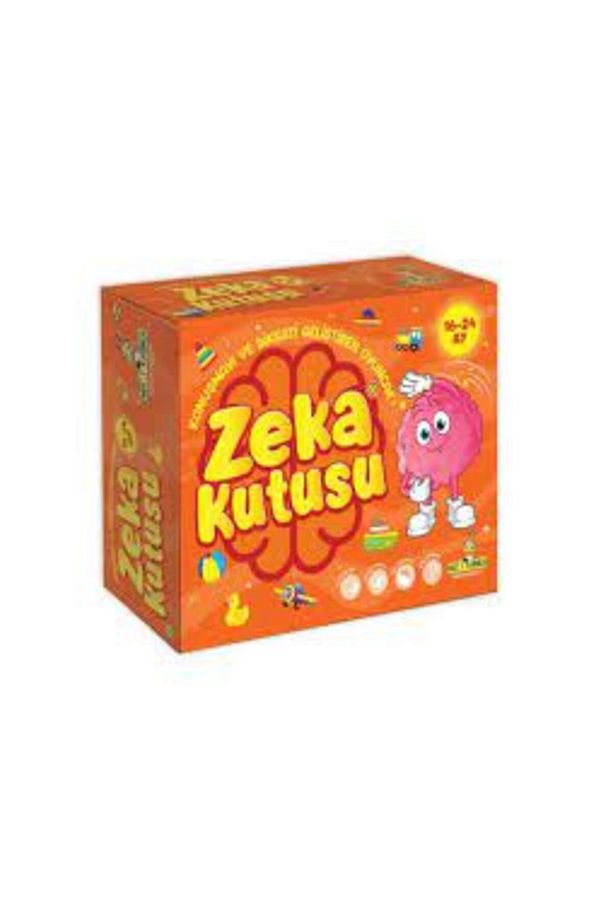Zeka Kutusu (16-24 Ay) - 1