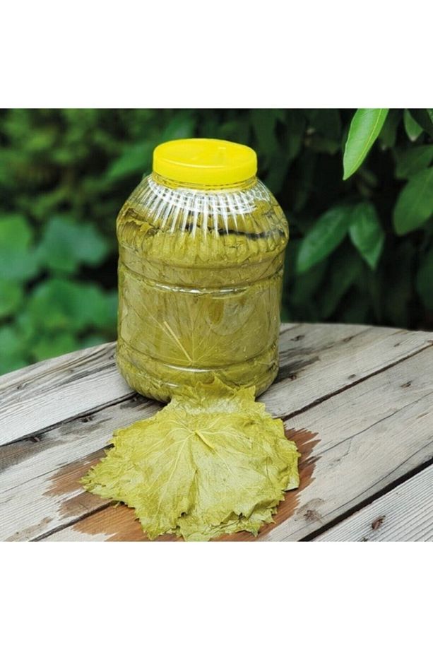 Sarma Yaprağı Asma Yaprağı Salamura Damarsız Taze Yaprak 1 kg Net Yaprak - 1