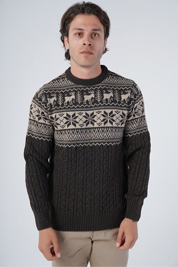 Brown Men's Hair Braided Jacquard Deer Patterned Crew Neck Knitwear Wool Sweater