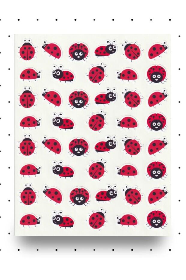Nunuki Cute Ladybugs Sticker Set Ladybug Reward Sticker School Sticker Label NSTI0052