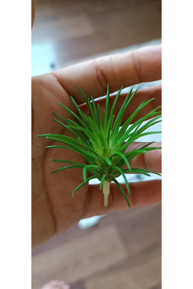 Tillandsia Yapay Hava Bitkisi, 2 Adet Yapay Suculent 6x7 Cm - 1