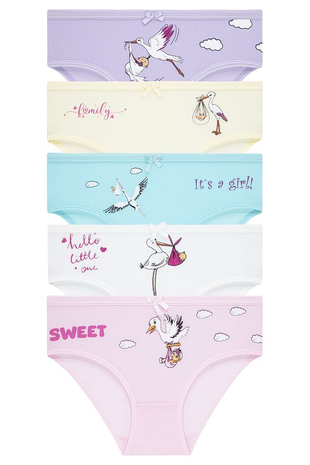 Kız Çocuk 5'li Paket Renkli Slip Külot - Sevimli Leylekler - - 1
