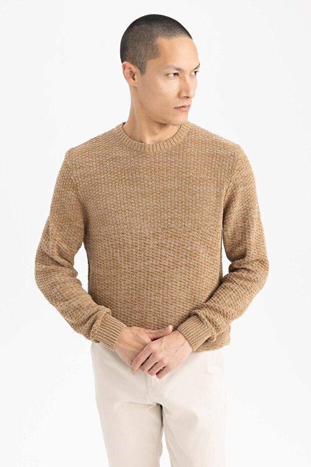 Standard Fit Regular Cut Crew Neck Textured Basic Plain Knitwear Sweater R1175Az23Au
