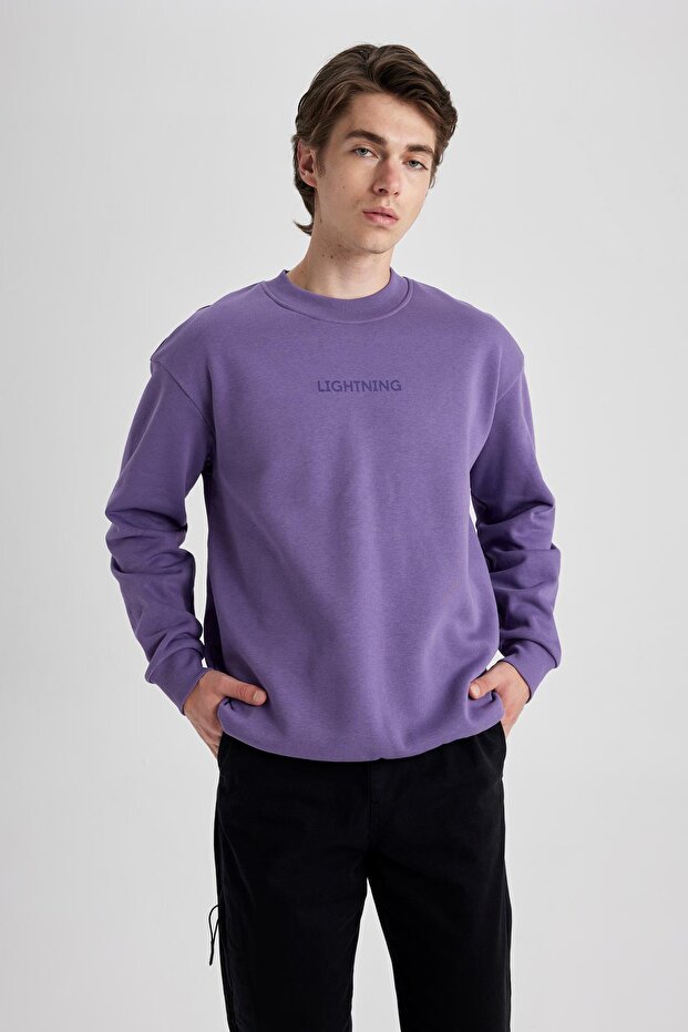 Boxy Fit Crew Neck Printed Sweatshirt V5306Az23Au