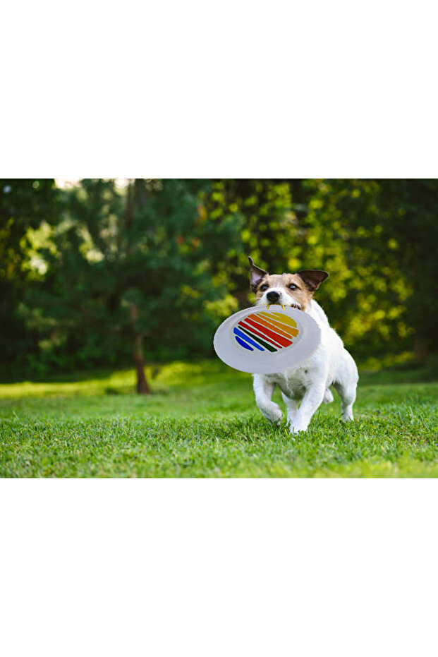 الفريزبي - 3