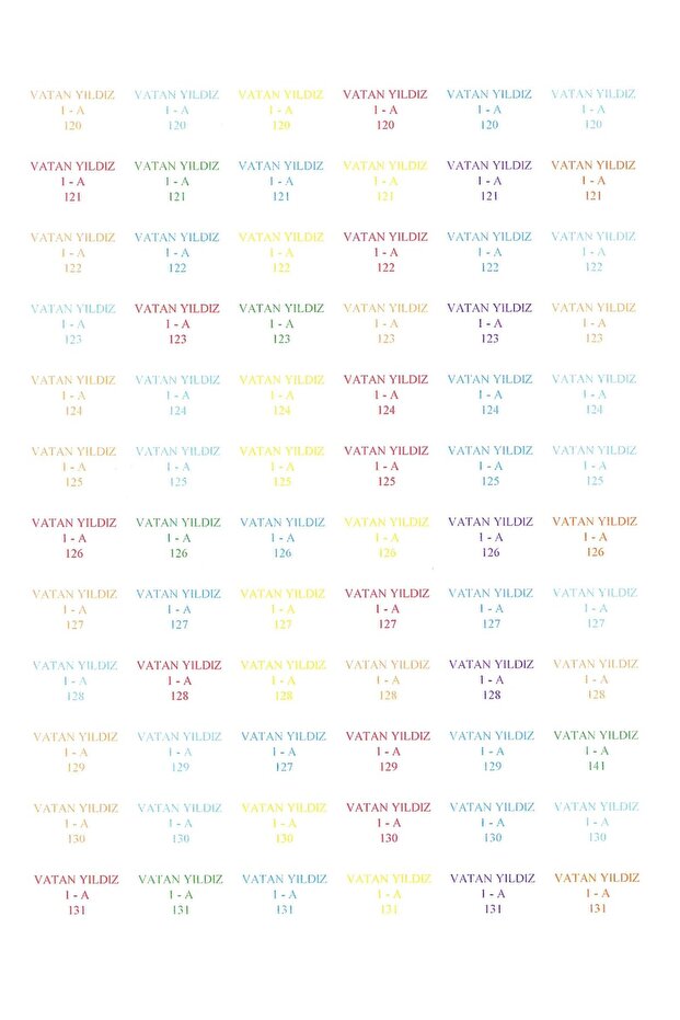 isimli okul etiketi - 2