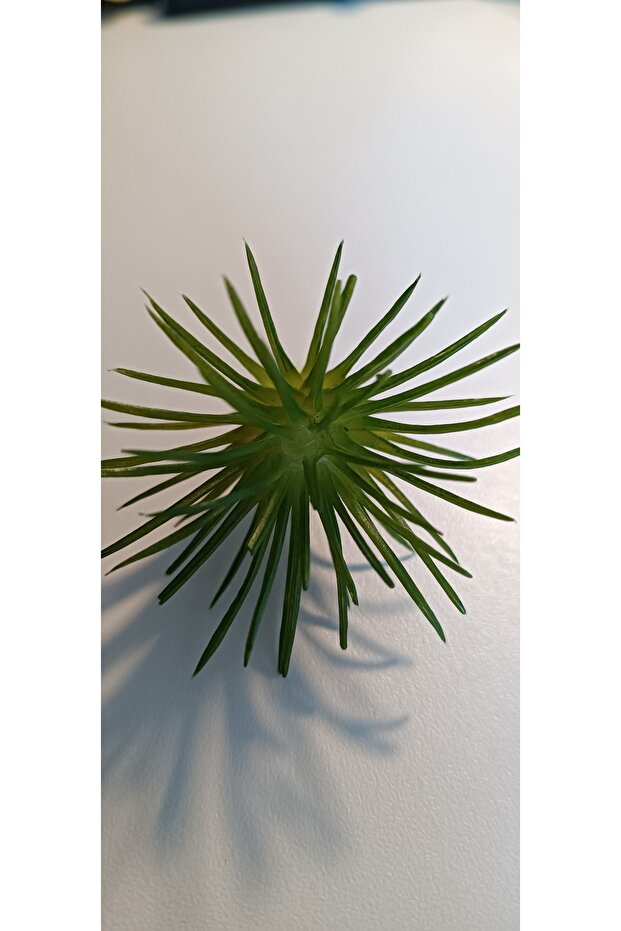 Tillandsia Yapay Hava Bitkisi, 2 Adet Yapay Suculent 6x7 Cm - 3