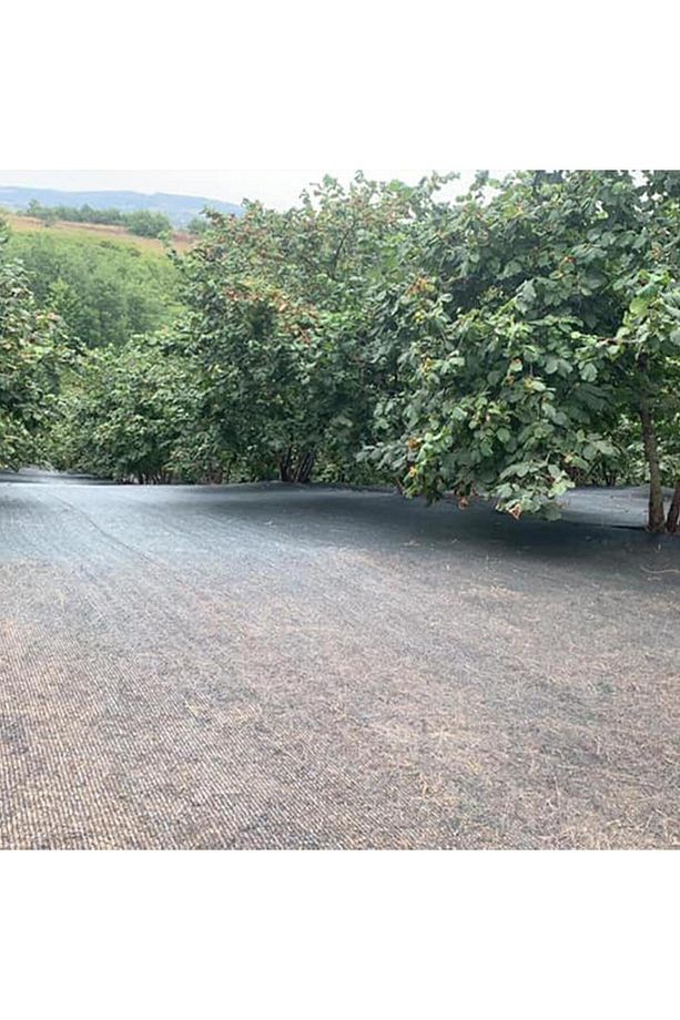 2X5 METRE FINDIK SERGİSİ FINDIK TOPLAMA FİLESİ FINDIK KURUTMA ÖRTÜSÜ 40'LIK GÖLGELİK FINDIK ALTI FİL - 4