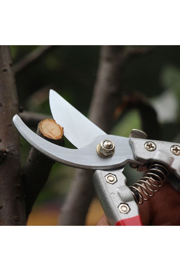 V8 Pruning Shears Pro 8 - 2